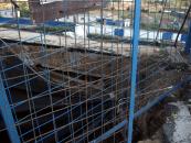 Stire din Social : Strada Traian, ciuruită de noi cratere