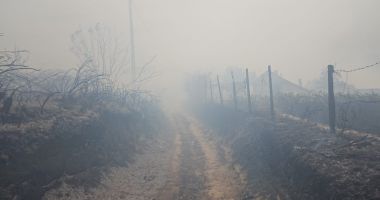 Pompierii, în alertă! Trei case din localitatea Dunăreni au fost cuprinse de flăcări - 2