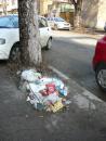 Mizeriile Constanței