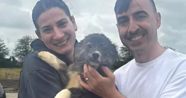 Stire din Social : Un nou început pentru un pui de câine salvat de pe străzile Constanței