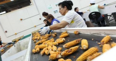 Stire din Economie : CRESC PREȚURILE la alimente. 20 de țări cer măsuri urgente