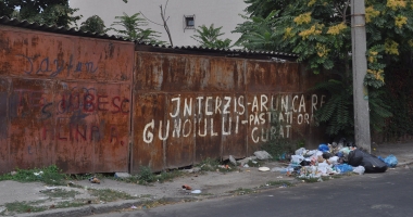Stire din Social : Avem semafoare cu inimioare, dar cine strânge rahatul de pe trotuare?