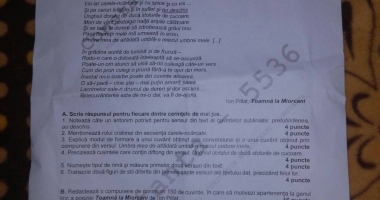 Stire din Cultură-Educație : FOTO. Iată ce subiecte s-au dat la simularea de la clasa a VIII-a