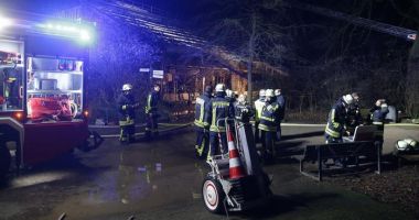 Stire din Actualitate : Dezastru la zoo! Zeci de maimuțe ucise într-un incendiu