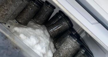 Percheziții la persoane bănuite de infracțiuni la regimul piscicol - 2
