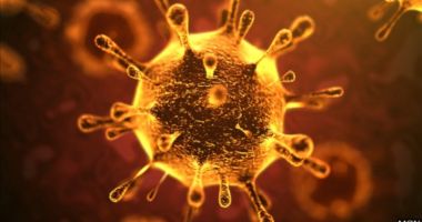 Stire din Eveniment : Români suspecți de infectare cu coronavirus, aduși în țară din Germania