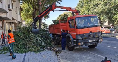 Au început lucrările de ridicare a coroanelor arborilor care încurcă circulația rutieră - 2