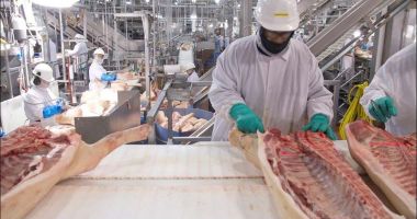 Importurile de carne de porc din Germania, suspendate pe piaţa asiatică