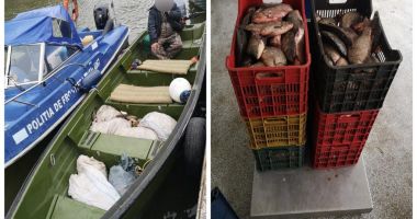 Sute de kg de peşte, confiscate de politiştii de frontieră - 1