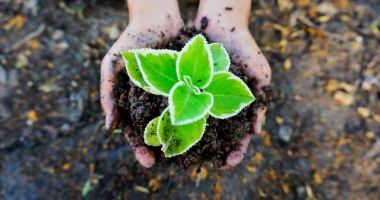 Secretarul general al ONU: Echilibrul ecologic al planetei este distrus