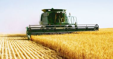 Stire din Economie : Asigurări, agricultură, salarii. INFO economic