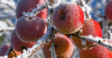 Stire din Economie : Joburi, agricultură, firme. INFO economic