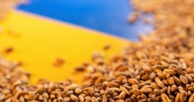 România susţine reintroducerea taxelor vamale pentru importurile de cereale din Ucraina