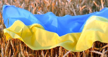 ANSVSA nu va permite importurile de grâu, porumb, floarea-soarelui şi rapiţă originare din Ucraina, până la 5 iunie