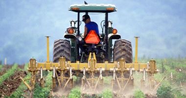 Li s-au lungit urechile! Tinerii fermieri constănţeni aşteaptă liniile de finanţare pe fonduri europene - 2