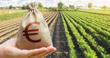 Conducerea AFIR reacţionează după ce Federaţia Naţională a Lucrătorilor i-a solicitat demiterea