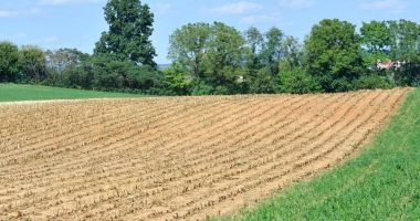 Tranzacţii de milioane şi milioane de euro. Piaţa terenurilor, înfiorătoare la Constanţa! - 2