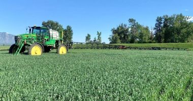 S-a ajuns la milionul de euro! Preţuri exorbitante pe piaţa terenurilor agricole din Constanţa