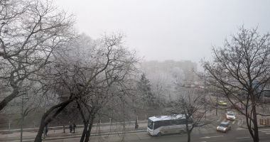 Stire din Social : Cod galben de ceață, astăzi, la Constanța