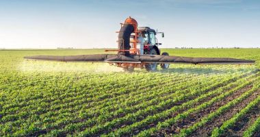 Stire din Economie : APIA: Cererile de acordare a grantului în domeniul agricol vegetal se pot depune începând din 29 ianuarie