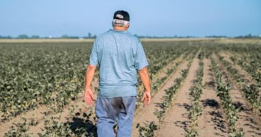 Stire din Economie : Fermierii constănţeni afectaţi de secetă pot beneficia de suspendarea ratelor la credite