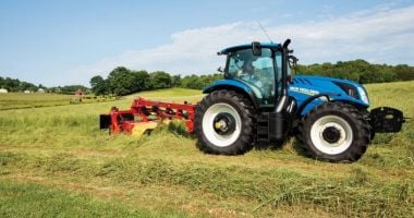 Stire din Economie : Case, terenuri, bijuterii de lux. Ce averi au strâns şefii din agricultura constănţeană