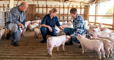 Stire din Economie : Fermierii constănţeni pot trimite cererile pentru sprijinul pentru sectoarele suin şi avicol, până pe 14 martie