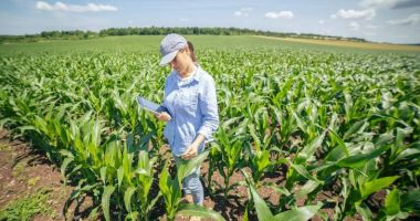 Stire din Economie : Agricultură: Vin banii pentru fermierii constănţeni cu activitate în sectorul vegetal