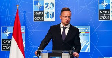 Ungaria a depus la Washington documentele de ratificare a aderării Suediei la NATO
