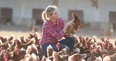 Stire din Economie : Deficit comercial, agricultură, bursă. INFO economic