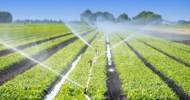 Stire din Economie : Fonduri europene pentru fermierii constănţeni. Se modernizează infrastructura de irigaţii