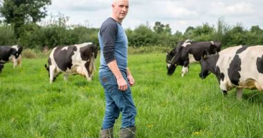 Stire din Economie : Fermierii constănţeni pot depune cererile pentru intervenţiile aferente sectoarelor vegetal şi zootehnic
