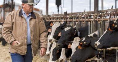 Stire din Economie : APIA a demarat autorizarea la plată a fermierilor care au solicitat Ajutoarele Naţionale Tranzitorii - specia bovine