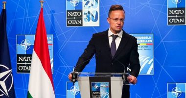 Ungaria nu va participa la noile planuri ale NATO de sprijin pentru Ucraina