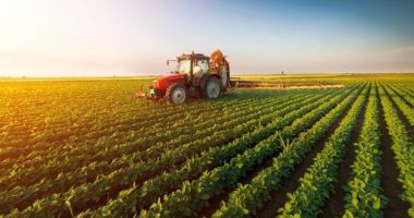 Stire din Economie : "Băieţi deştepţi" şi în agricultură! "Nu-i de mirare că mulţi fermieri riscă să ajungă la faliment"