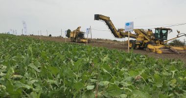 Stire din Economie : Registrul Comerţului, agricultură, infrastructură feroviară. INFO economic