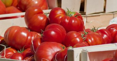 Stire din Economie : Bugetul Ministerului Agriculturii, suplimentat cu peste 180 milioane lei pentru plata sprijinului acordat pentru ciclul I de producţie la tomate