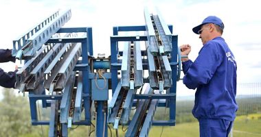 Stire din Economie : Banking, agricultură, masă lemnoasă recoltată. INFO economic