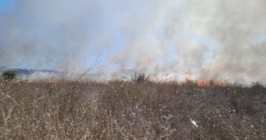 Mai multe trenuri au fost oprite pe calea ferată, din cauza incendiului de la Olimp - 2