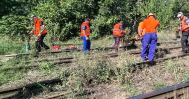 Stire din Economie : Infrastructură feroviară: Lucrări de modernizare pe liniile din zona Constanţa Vii