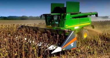 Seceta, birocraţia şi prostia, cei trei mari adversari ai agriculturii. "Situaţia este extrem de gravă!" - 2