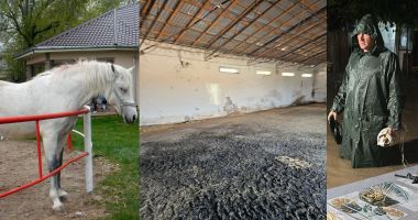 Devastată de furtună, Herghelia Mangalia a anulat competiţii. Acoperişuri smulse, grajduri şi locuinţe inundate - 2