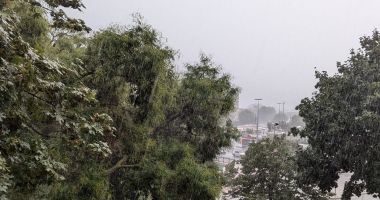 Stire din Social : UPDATE / Vremea rea face ravagii la Constanţa. Copaci căzuţi pe străzi, apartamente inundate