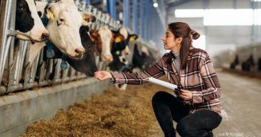 Stire din Economie : Solicitanţii eco-schemelor din sectorul zootehnic trebuie să depună deconturile justificative până la 31 ianuarie