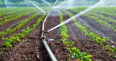 Stire din Economie : Asigurări, agricultură, energie. INFO economic