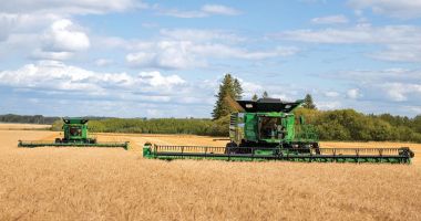 Stire din Economie : Fermierii constănţeni pot depune cererile de plată la APIA până la finalul lunii mai