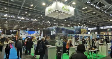 Stire din Economie : Asigurări, turism, educaţie financiară. INFO economic