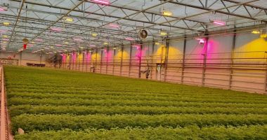 Stire din Economie : Investiţii, agricultură, deficit de cont curent. INFO economic