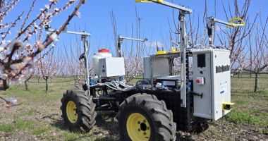 Stire din Economie : Insolvenţă, agricultură, rafinărie de aur. INFO economic