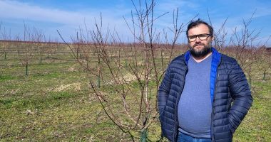 Stire din Economie : Jale mare în pomicultura constănţeană. „Culturile de cais şi piersic sunt compromise!”